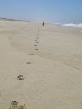 ab0ba32c729bed6b1df1720e14ef33cf