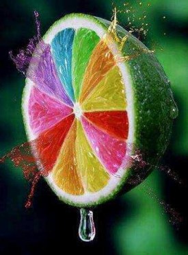 c581a7ab6cc87679d5deb1ef49fecb62