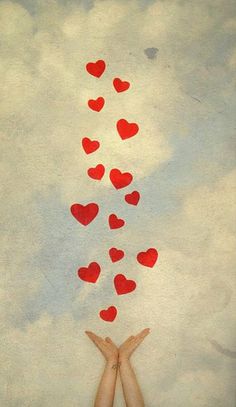 3ff8d314d0ab7027e360c553a1d984b6