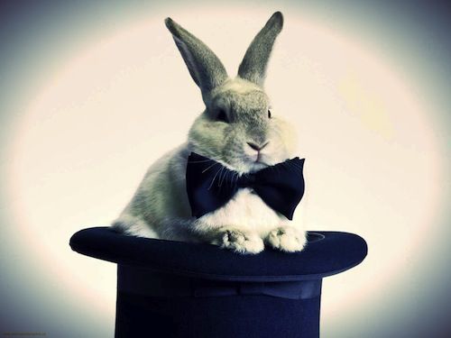 9da3ecdb057ce75a8cdd458e92529985