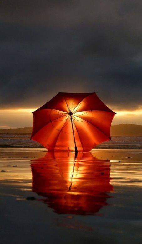 923f652c9b4072895057c8631e2da587